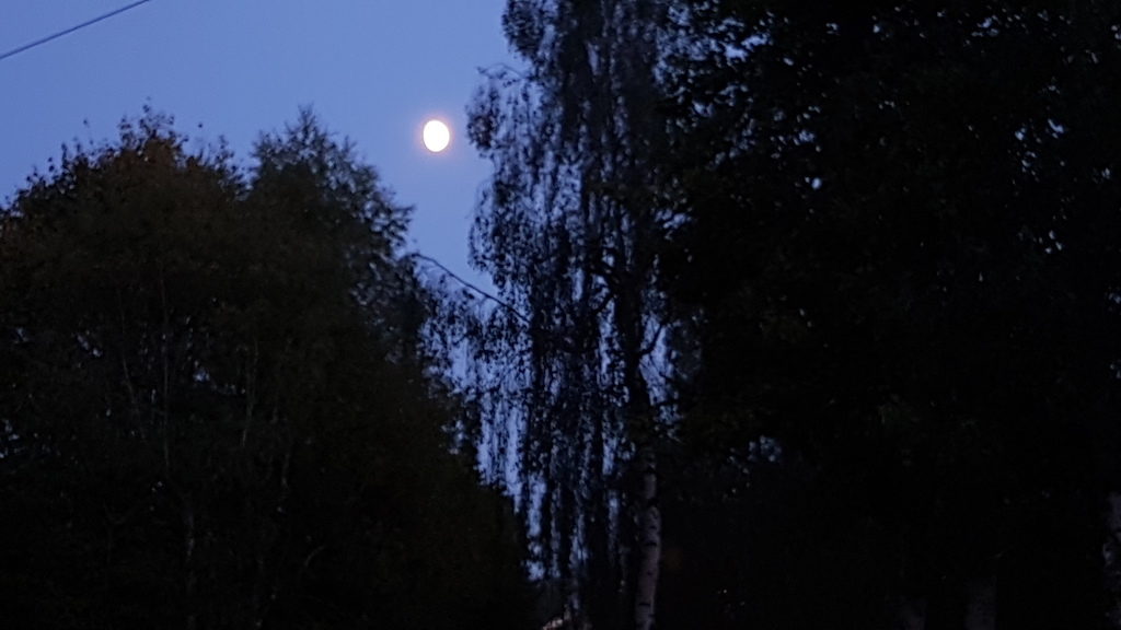 Mondstimmung